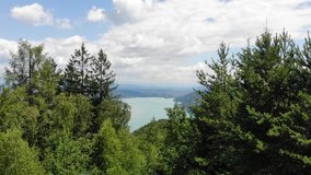 Aerial Footage of Wörthersee in Austria flying through trees during mid day