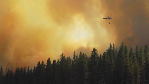 Helicopter dropping water on raging fire in California mountains.