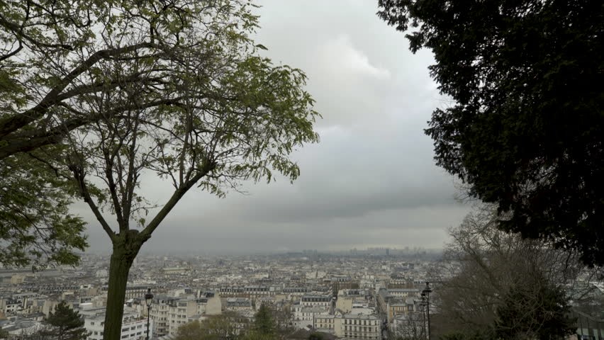 Paris view from Sacre Cœur looking through trees