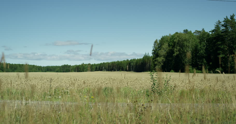 Woman on a bike in the countryside