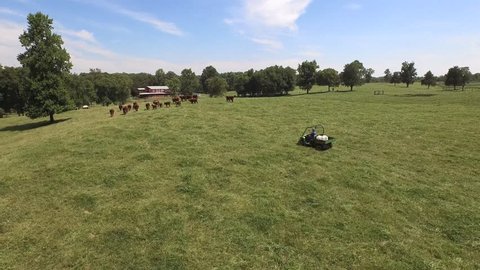 Aerial view of a farmer on a John Deere 4 wheeler chasing Hereford cattle with red barn in the background.