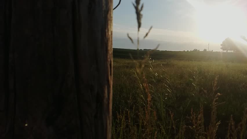 sunset over pasture in Iowa