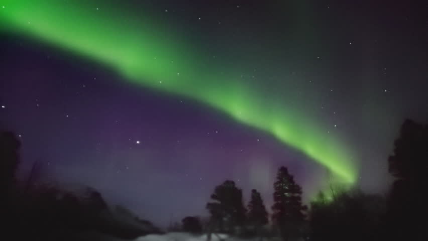 Northern lights in a winter forest