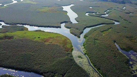 aerial view of floodplain of the Pripyat River, aerial view of winding riverst, aerial view of wetlands, aerial view of marsh