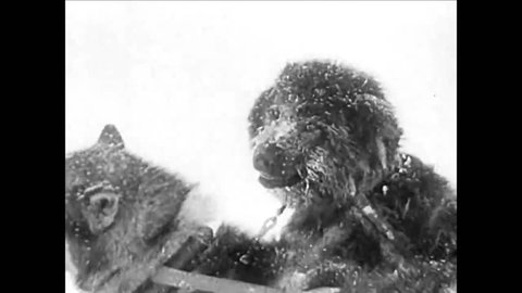 CIRCA 1936 - Father Bernard Hubbard tells of Alaska's value in 1936 including a good profile of Eskimo life.