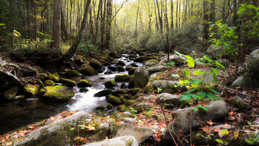 A river flows over mossy rocks through the Great Smoky Mountains national park in Gatlinburg, Tennessee. 