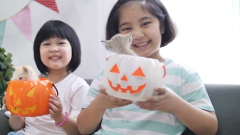 Slow motion 4K Happy Asian girl playing hide and seek with little kitten inside pumpkin bucket, Happy Halloween