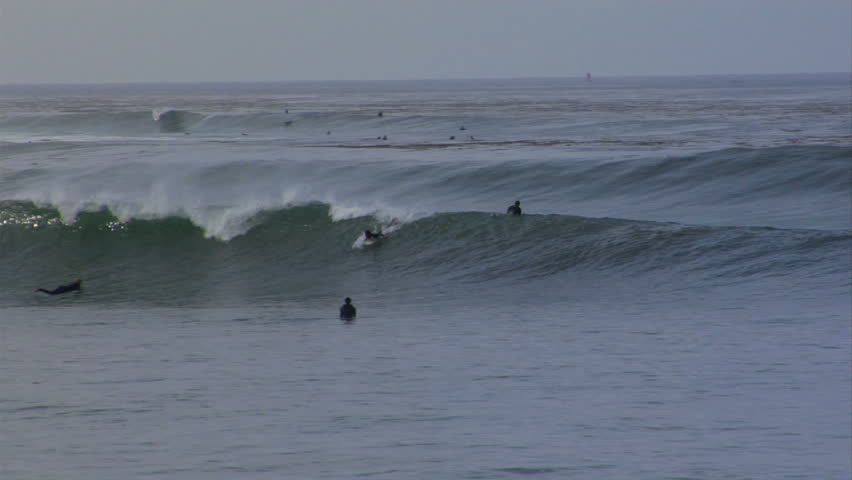 surfers at cove