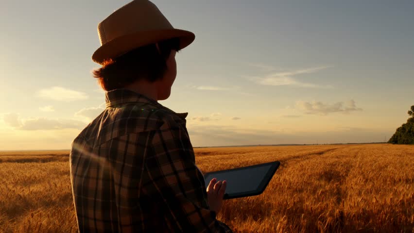 Young girl farmer in plaid shirt in wheat field on sunset background. The girl uses a tablet, plans to harvest. Circular motion of the camera. Royalty-Free Stock Footage #1016705053