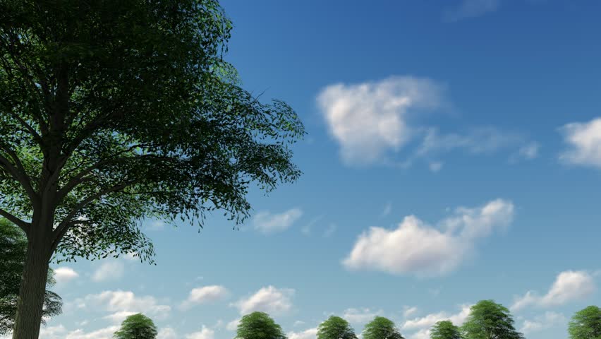 Plane Arriving to Gran Canaria Las Palmas Airport to Spain
