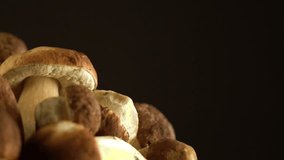 .Forest mushrooms. Cepes. Natural product. Delicacy .Rotation. Slow-motion shot.