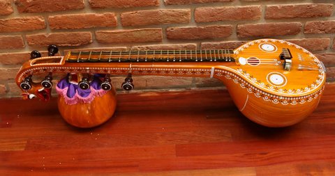 Indian Music instrument Veena
