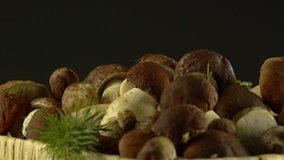 Forest mushrooms. Cepes. Natural product. Delicacy Rotation. 4K .