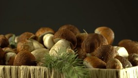 Forest mushrooms. Cepes. Natural product. Delicacy Rotation. 4K .