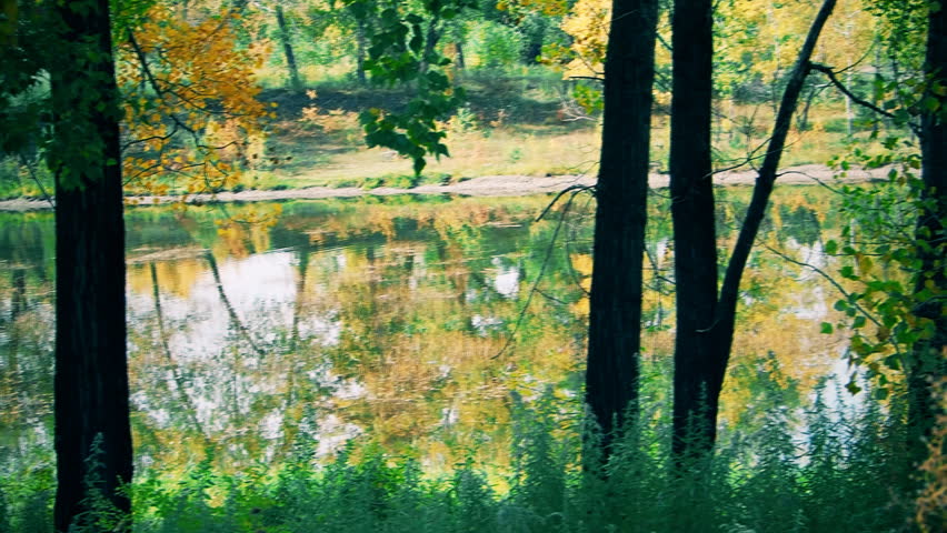on the lake in the Park in autumn.
