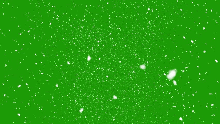 Isolated falling snow on green screen Royalty-Free Stock Footage #1016739253