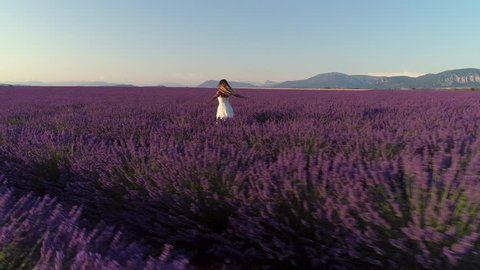 Aerial  - Beautiful young woman in a white dress walking through purple lavender field, touching flower heads and turning around at sunset