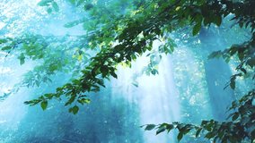 Mist drifts in lush green forest. Forest in smoke due to fire. Sunrays beautifully make their way through the smoke. Forest fire begins. Trees burning in the fire. Green forest with smoke rising. - Powered by Shutterstock - Get 15% off with code: PIKWIZARD15