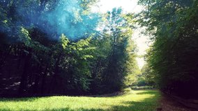 Mist drifts in lush green forest. Forest in smoke due to fire. Sunrays beautifully make their way through the smoke. Forest fire begins. Trees burning in the fire. Green forest with smoke rising. - Powered by Shutterstock - Get 15% off with code: PIKWIZARD15