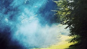 Foggy forest. Mist drifts in lush green forest. Forest in smoke due to fire. Sunrays beautifully make their way through the smoke. Trees burning in the fire. Green forest with smoke rising. - Powered by Shutterstock - Get 15% off with code: PIKWIZARD15