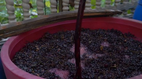 Winemaking. Mixing "cap" of grape skins.