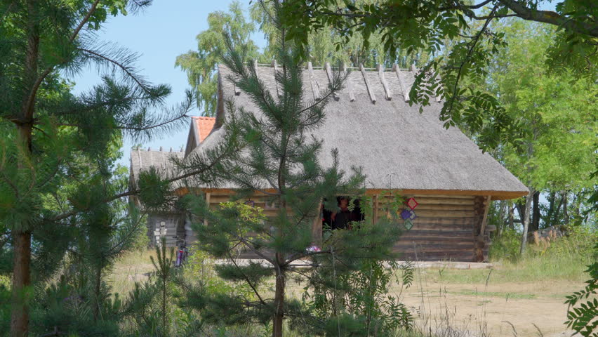 View of the small wooden hut from the pine trees and the sea on the back