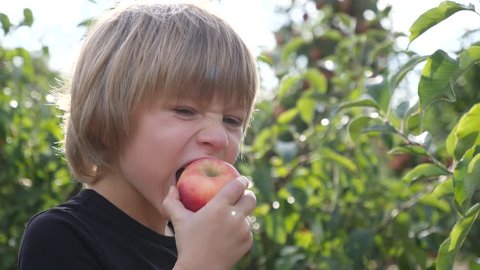 Cute child boy portrait stay in apple tree garden outdoors eating ripe juicy fruits