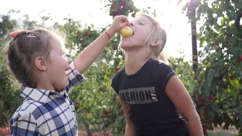 Friends little girls have fun in apple tree garden farm playfully eating biting ripe fruits