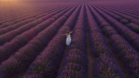 Aerial - Happy young woman in a white dress walking through lavender field and turns around in excitement. Beautiful girl is joyful to see famous natural beauty in full bloom in Provence, France