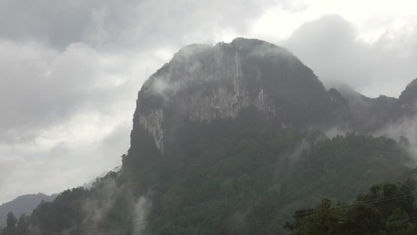 Heavy raining in the asian tropical forest, 4k