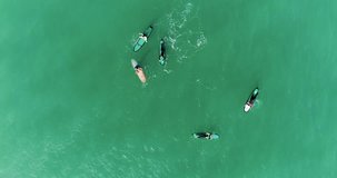 Aerial top view of surfers on the sea waiting for the wave 4K