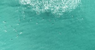 Aerial top view of surfers on the sea waiting for the wave 4K