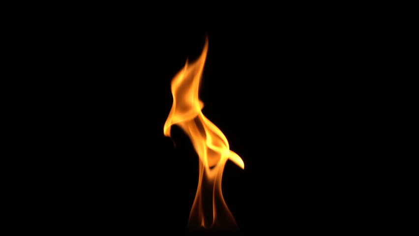 Real fire flaming background in slow motion | Shutterstock HD Video #1016792848