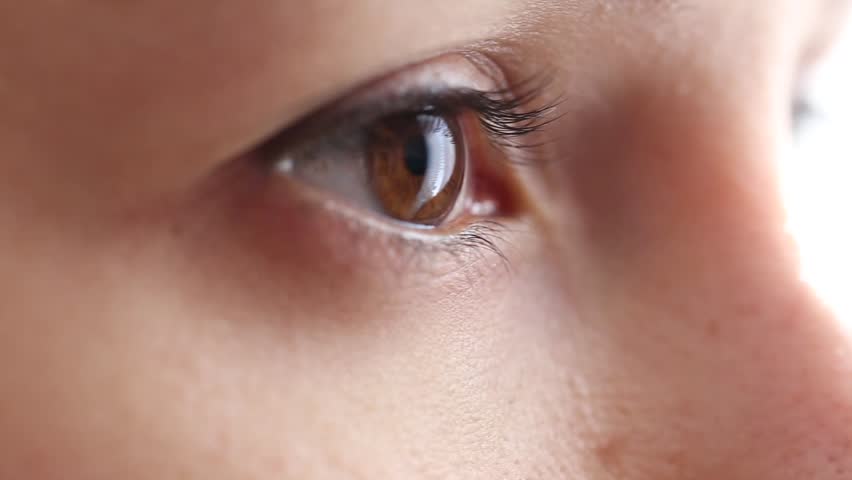 Brown eyes of a close-up girl | Shutterstock HD Video #1016814583