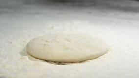Pizza dough preparation in restaurant - Powered by Shutterstock - Get 15% off with code: PIKWIZARD15