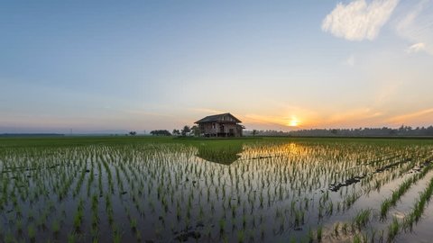 Time lapse of a sunrise view at an abandoned floating house in the middle of a secluded paddy field at Sungai Sireh, Selangor. Malaysia. Zoom out motion timelapse. Prores 1080p.