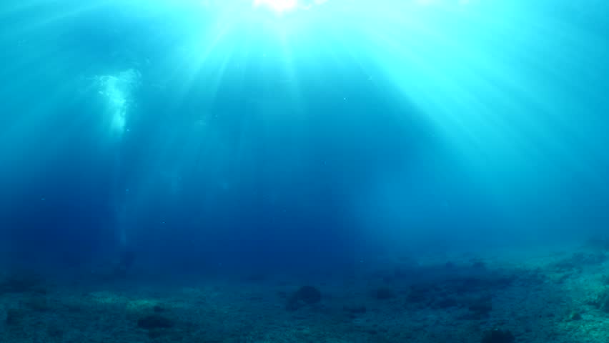 Sun shine beams and rays underwater scuba divers | Shutterstock HD Video #1016841232