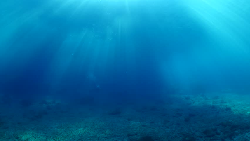 Sun shine beams and rays underwater scuba divers | Shutterstock HD Video #1016841235