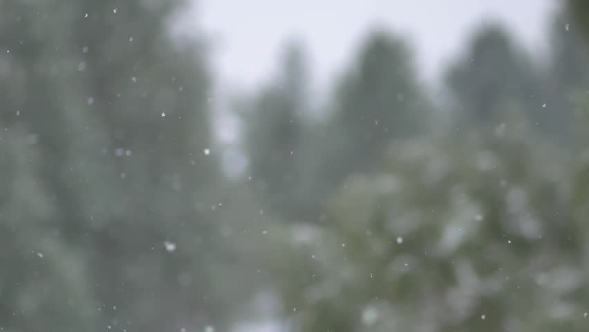 falling snow slow motion 02 Stock Footage Video (100% Royalty-free ...