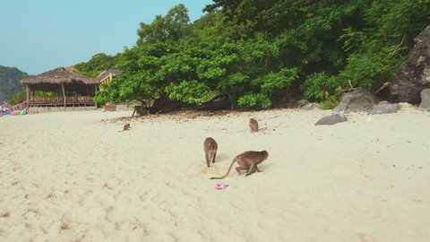 Vietnam - Ha Long Bay, Cat Ba - Beach on Monkey Island
