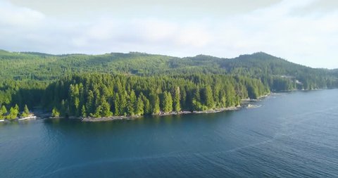 Giant Canadian lake-/seaside forest, near the infamous West Coast Trail on Vancouver Island