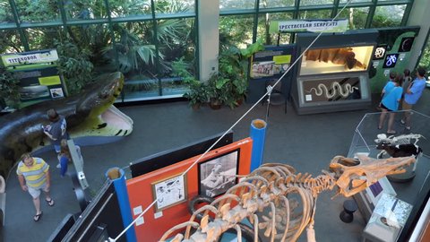 JACKSON, MISSISSIPPI / USA - JULY 2018: The MDWFP Museum of Natural Science in Jackson, Mississippi, United States. People, families, children during their visit