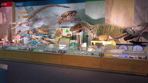 JACKSON, MISSISSIPPI, USA - JULY 2018: The MDWFP Museum of Natural Science in Jackson, Mississippi, USA. People, families, kids near dinosaurs display
