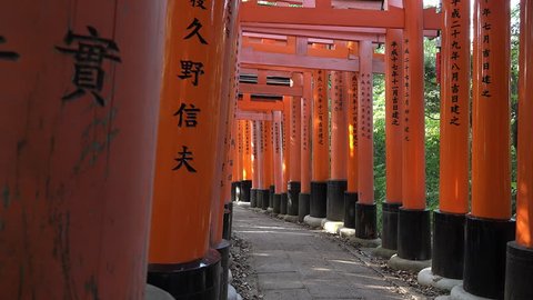Zoom in of the tori of the Fushimi Inari sanctuary