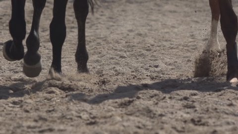 Slow motion close up.close-up hoof. Horse Race. Racing competition. There is dust from under the hooves. The sand flies in different directions. The task of each jockey-to reach the finish line first.