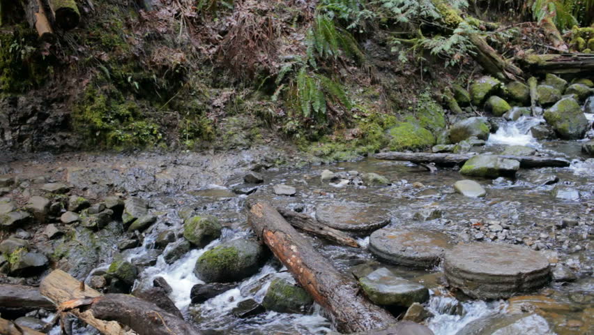 Dolly shot of man running on rocks in stream while woman watching waterfall in forest