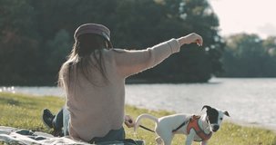 Portrait of beautiful young woman playing with dog jack russell terrier on the lake shore. 4K video shooting