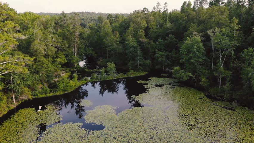 A drone flyover of a series of beaver ponds located in South Carolina lowlands.