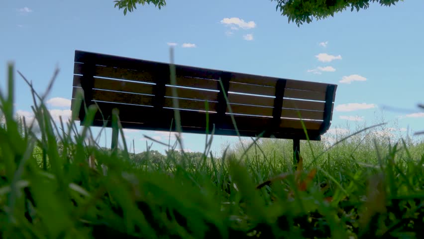 The bench in the park.