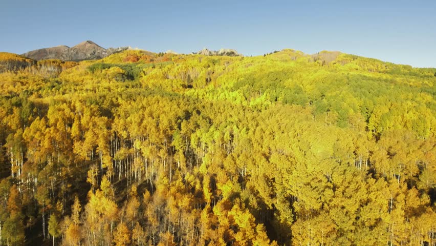 Fall colors in Crested Butte, Colorado